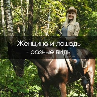 Женщина и лошадь - разные виды